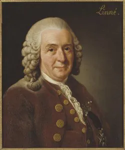 Dog ek görsel